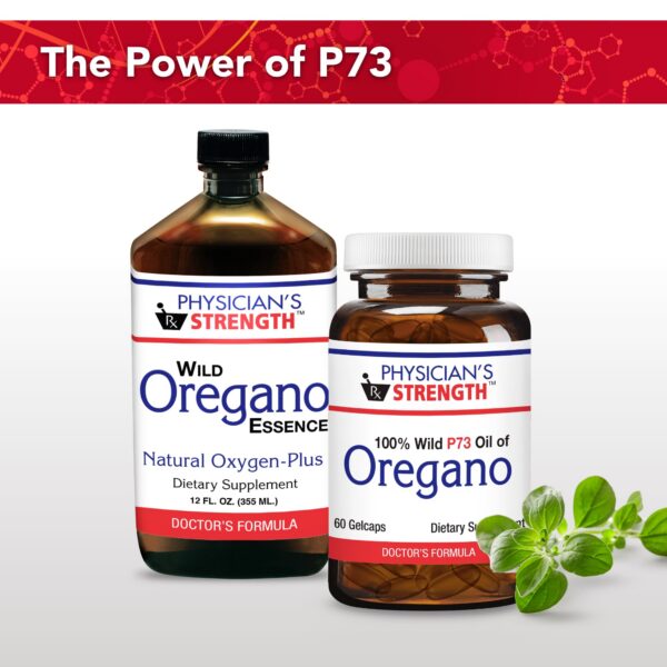 Ilustración ingredientes orégano y bayas montañosas