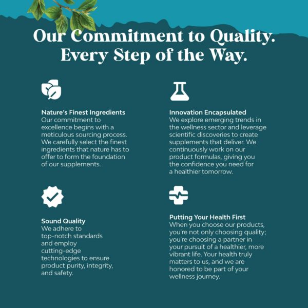 Version 1.0.0 Imagen de cápsulas suplemento nootrópico para enfoque mental