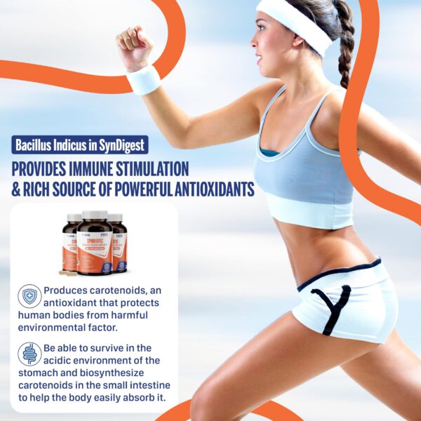 Version 1.0.0 Imagen lateral de frasco Syndigest probiótico prebiótico multi cepas