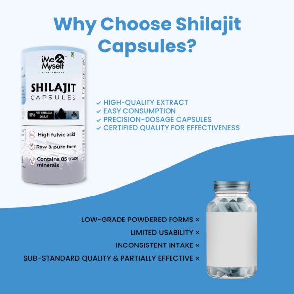 Version 1.0.0 Etiquetas Shilajit puro