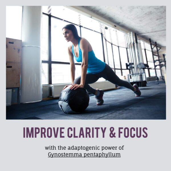 Cápsulas vegetales Immortalitea Jiaogulan