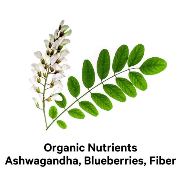 Información nutricional Amen Mood probióticos