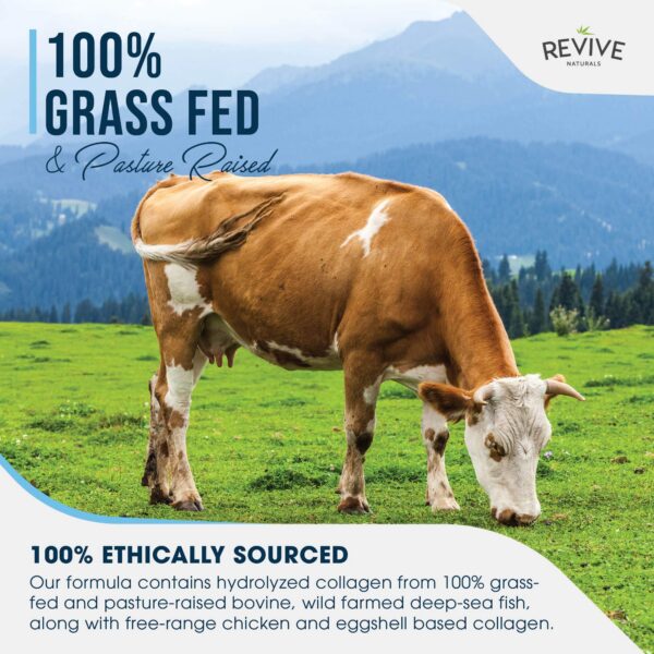 Tabla nutricional del colágeno múltiple