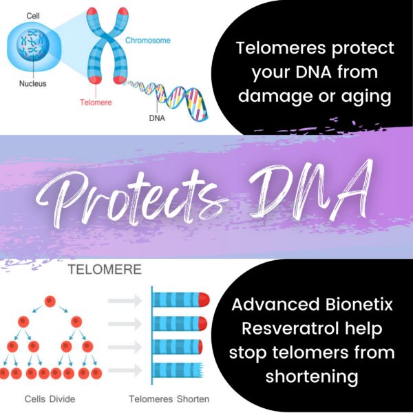 Información nutricional en etiqueta trasera