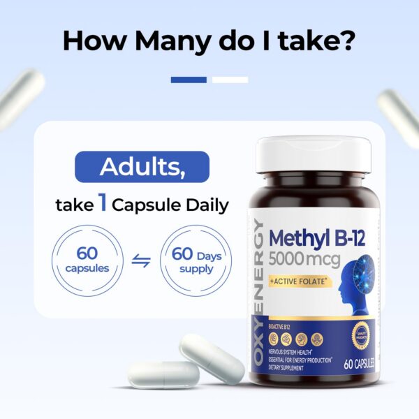 Seccion de informacion nutricional