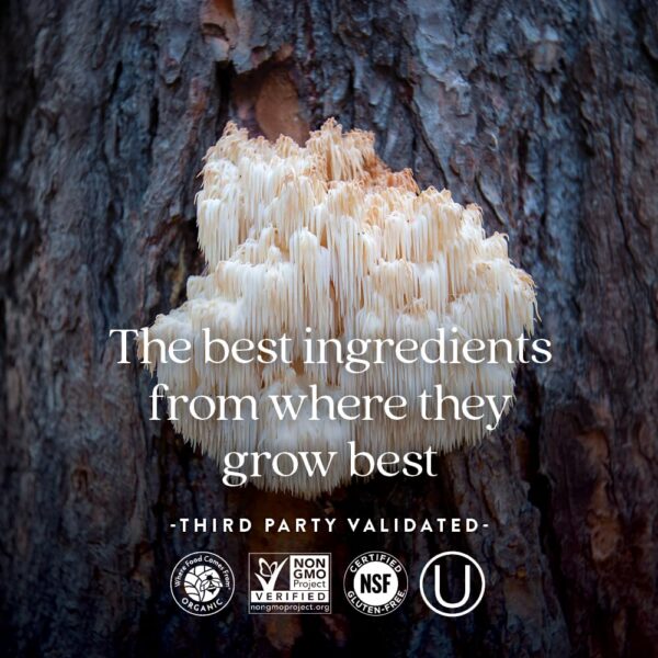 Version 1.0.0 Ingrediente cúrcuma en suplemento New Chapter