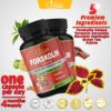 Ingrediente Forskolin concentrado de alta potencia
