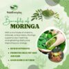 ingrediente-natural-polvo-hoja-moringa-halal-everyday