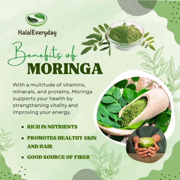 ingrediente-natural-polvo-hoja-moringa-halal-everyday