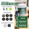 Ingrediente natural para superalimento chlorella orgánico
