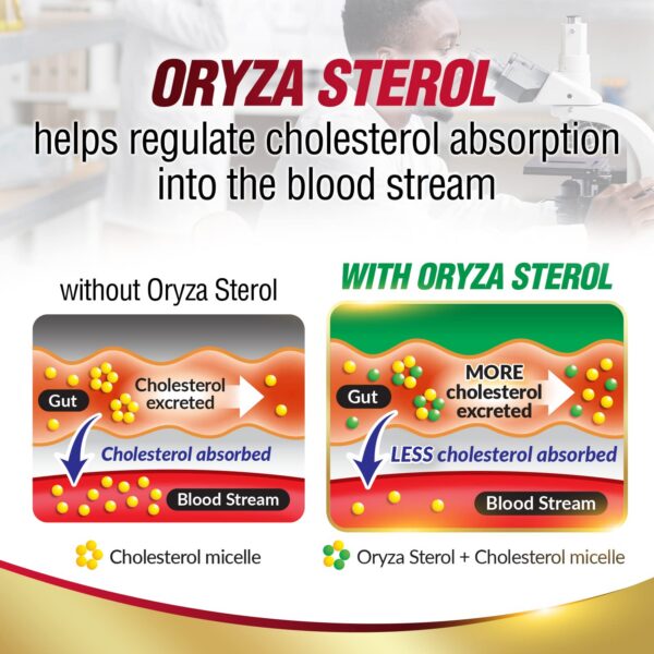 Ingredientes activos de CHOLRestore con arroz rojo y fitosterol