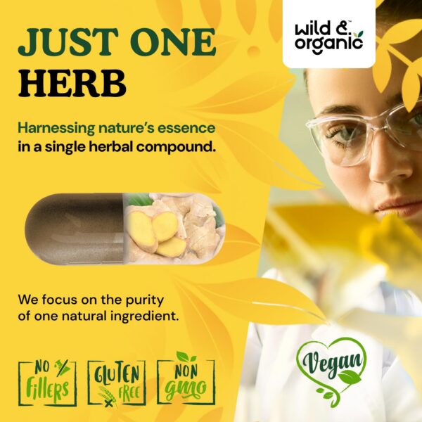 Ingredientes de cápsulas de jengibre Wild & Organic