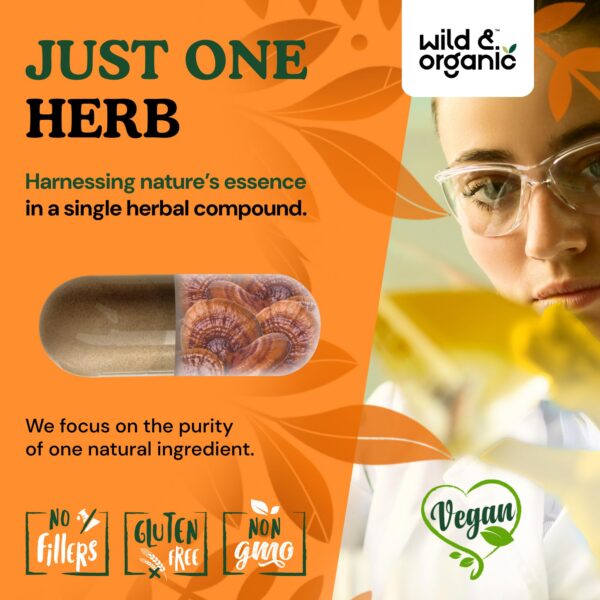 Ingredientes cápsulas reishi Wild & Organic, 180 unidades