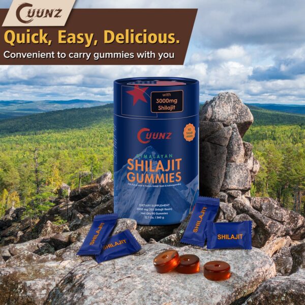 Ingredientes clave de Shilajit y Ashwagandha