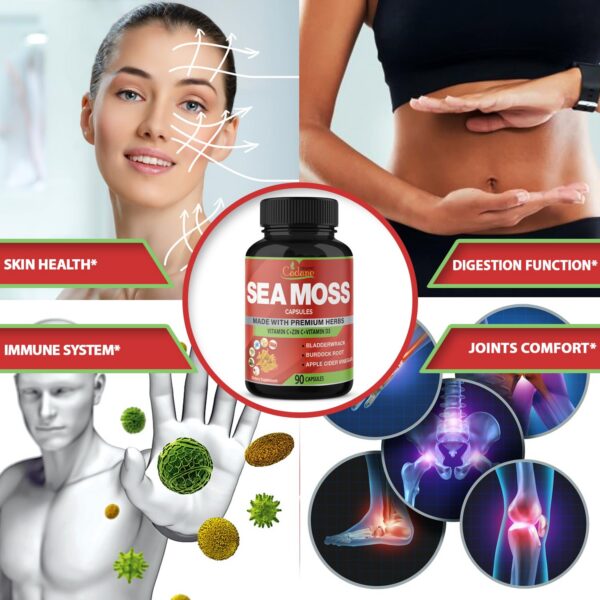 Ingredientes concentrados en cápsulas musgo marino irlandés Organic Cadane