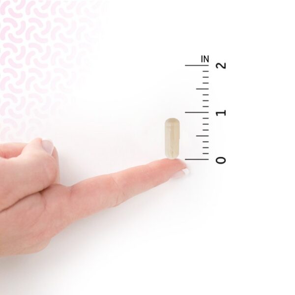 Etiqueta frontal Garden of Life Probióticos Mood+ 60 cápsulas