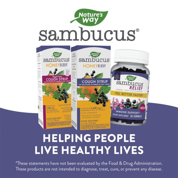 Ingredientes jarabe tos Nature's Way HoneyBerry Saúco