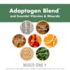 Ingredientes multivitamínico MultiOne