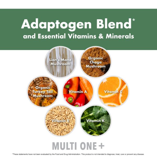 Ingredientes multivitamínico MultiOne
