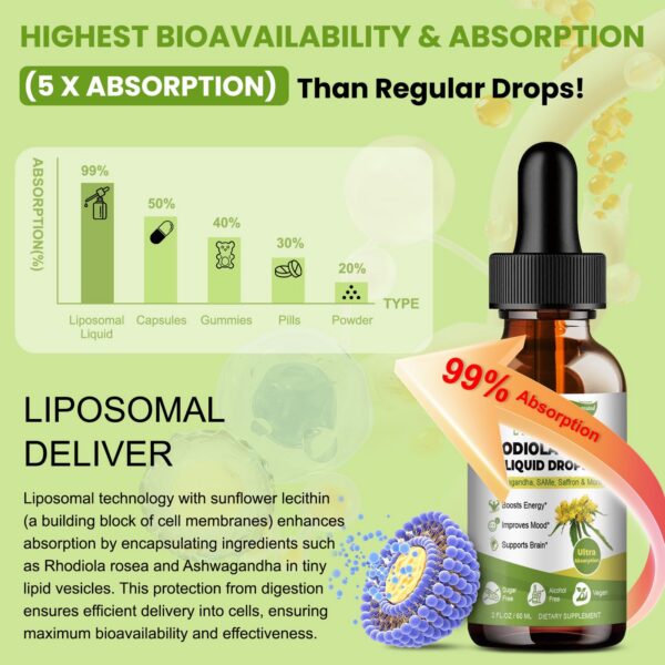 Ingredientes naturales adaptogénicos en extracto liposomal