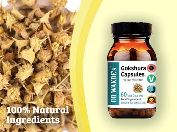 Version 1.0.0 Ingredientes naturales de cápsulas veganas Gokshura DR WAKDE