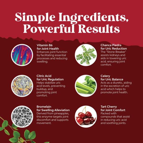 Ingredientes naturales para desintoxicación de ácido úrico