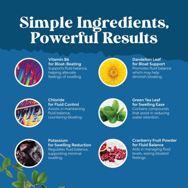 Ingredientes naturales para mejor equilibrio y energía Water Away