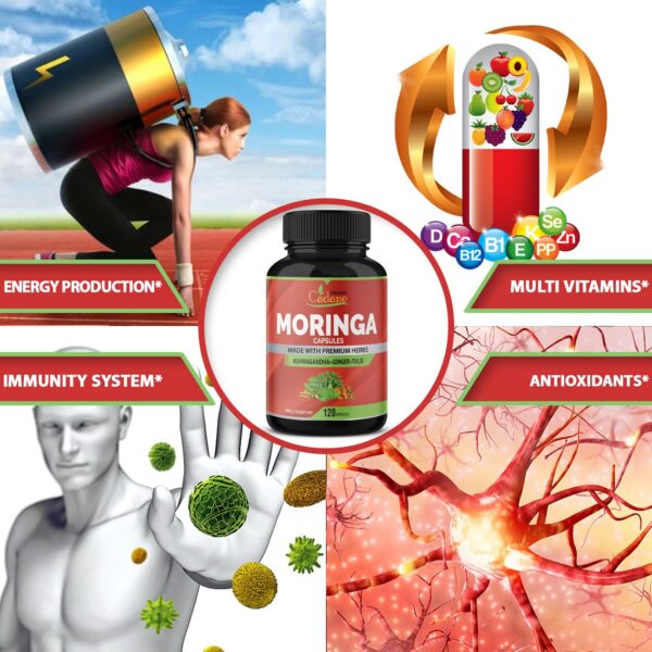 Version 1.0.0 Ingredientes naturales concentrados de moringa con jengibre y tulsi