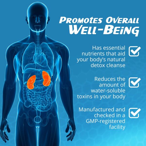 ingredientes naturales para soporte renal en RenActive de RaDoTech