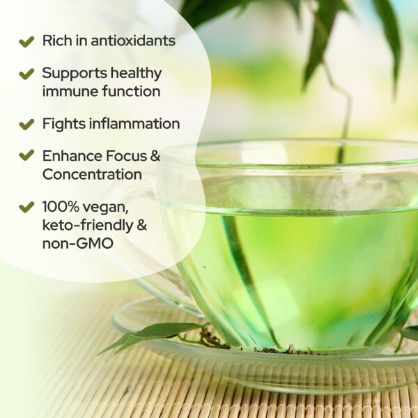 Ingredientes naturales del té verde con hongos