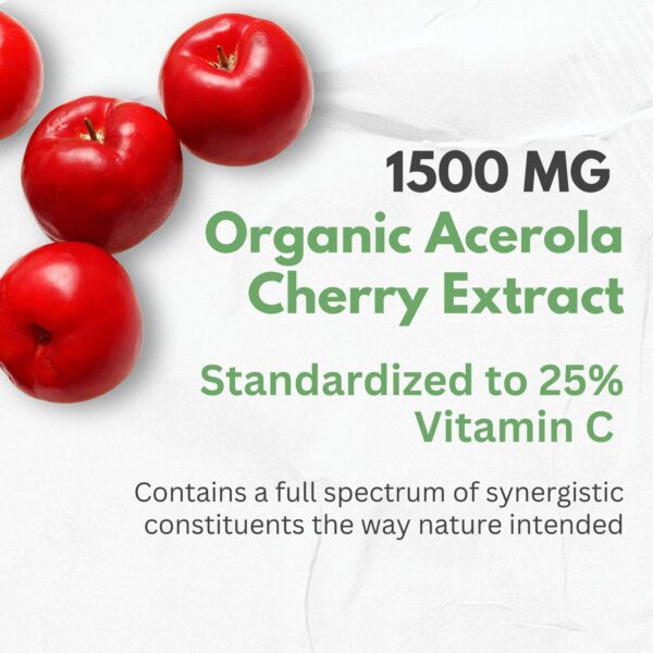 ingredientes naturales suplementacion vitamina c acerola ajo jengibre