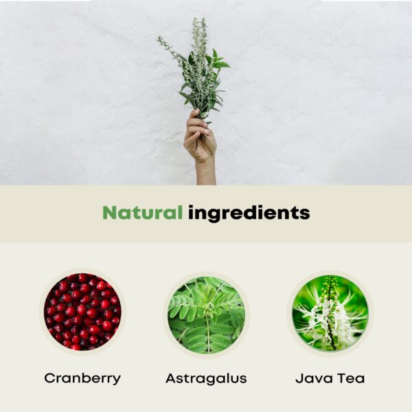 Ingredientes orgánicos de alta calidad para apoyo a la salud renal