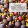 Ingredientes orgánicos en gotas adaptogénicas Anima Mundi