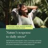 Ingredientes naturales para polvo leche dorada tradicinal ayurveda
