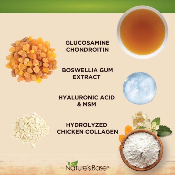 Version 1.0.0 Suplementos naturales antioxidantes y apoyo articular Nature's Base