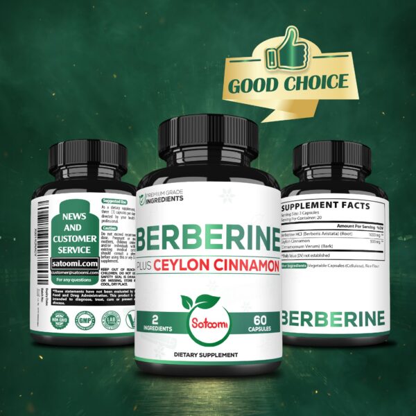 Ingredientes premium Suplemento Berberina Canela Satoomi