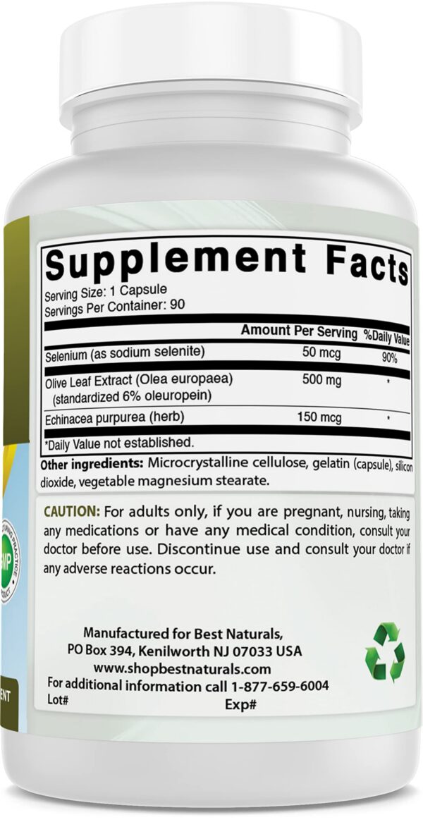 Ingredientes puros para extracto natural de hoja de olivo