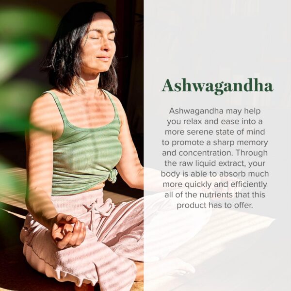 Ingredientes puros veganos en gotas Ashwagandha Global Healing