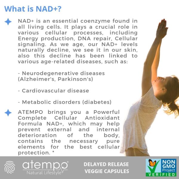 Ingredientes del suplemento NAD+ Atempo Natural