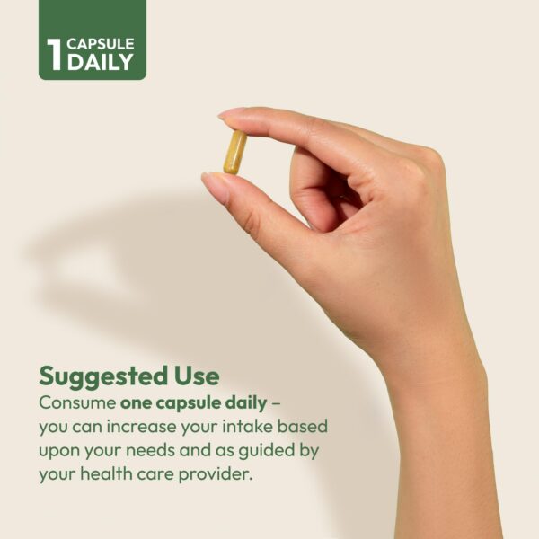 Version 1.0.0 Suplemento cuidadoso con estómago sensible y máximo efecto