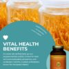 Instalaciones de fabricación HealthForce SuperFoods