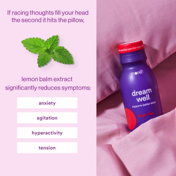 More Labs Dream Well bebida sin azúcar ni ingredientes artificiales