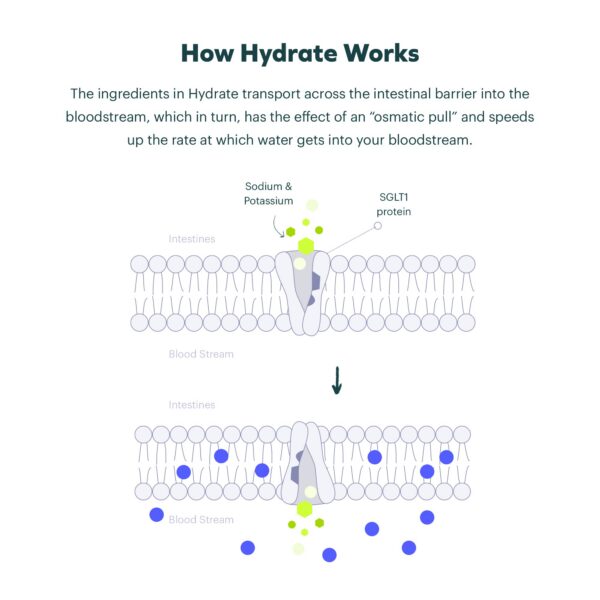 Dosing Instructions Label