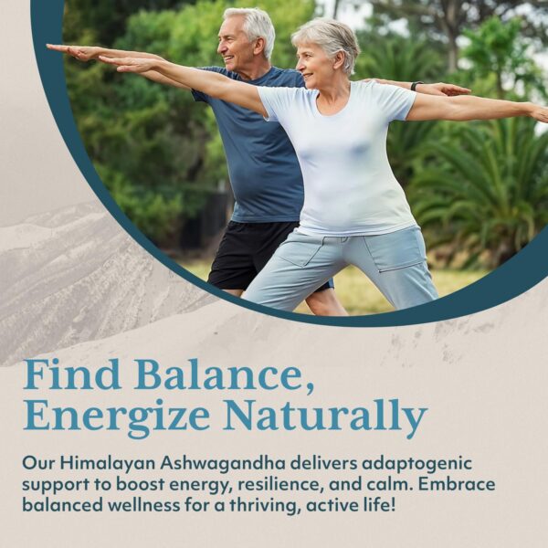 Interior de la caja con cápsulas