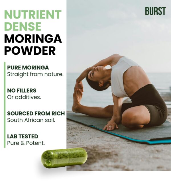 Version 1.0.0 Interior de la caja de moringa burst