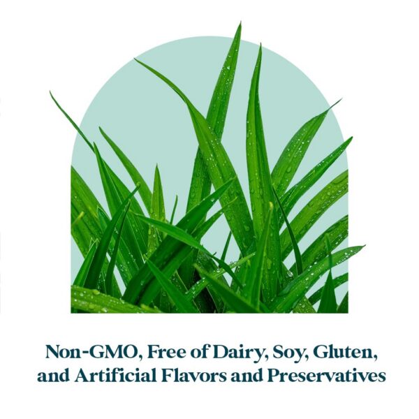 Version 1.0.0 Interior y cápsulas dentro del frasco