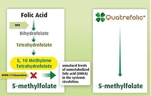 Version 1.0.0 Factor intrínseco en la fórmula