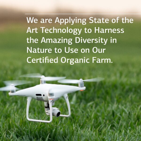 Iplex cápsulas para cuidado vascular y ocular estándar