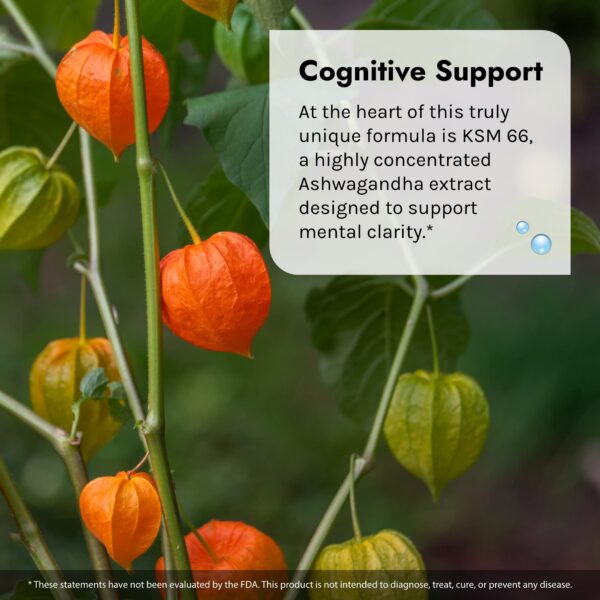 Irwin Naturals cápsulas blandas para memoria y enfoque