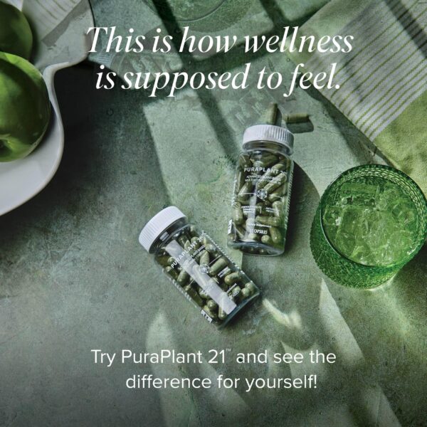 Version 1.0.0 Reverso de empaque GMP